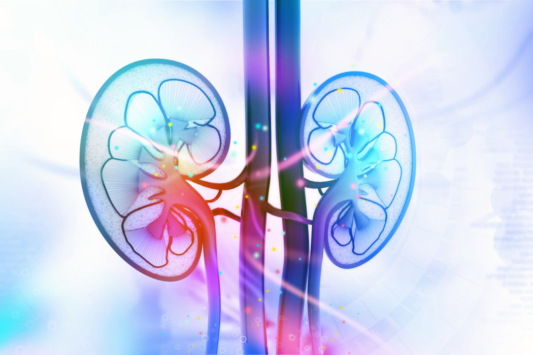 10 Foods That Help With Kidney Infection Recovery