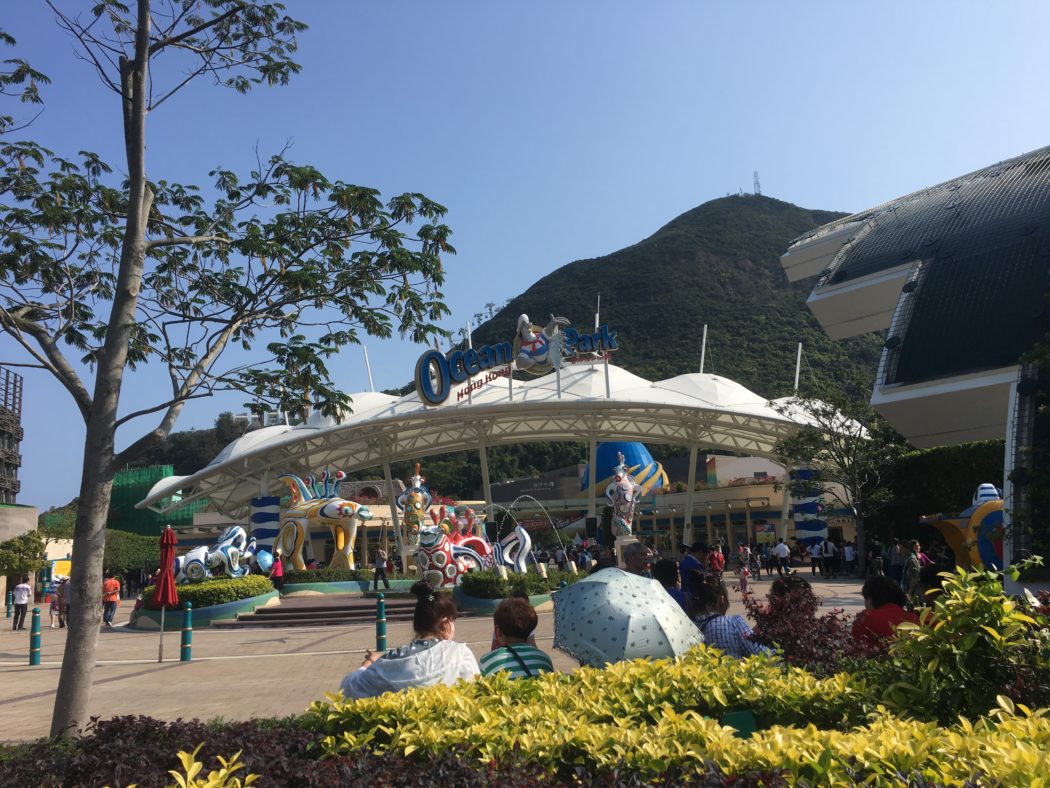 We Chose Ocean Park Over Disney Land on Our Hong Kong Trip - Here's Why!