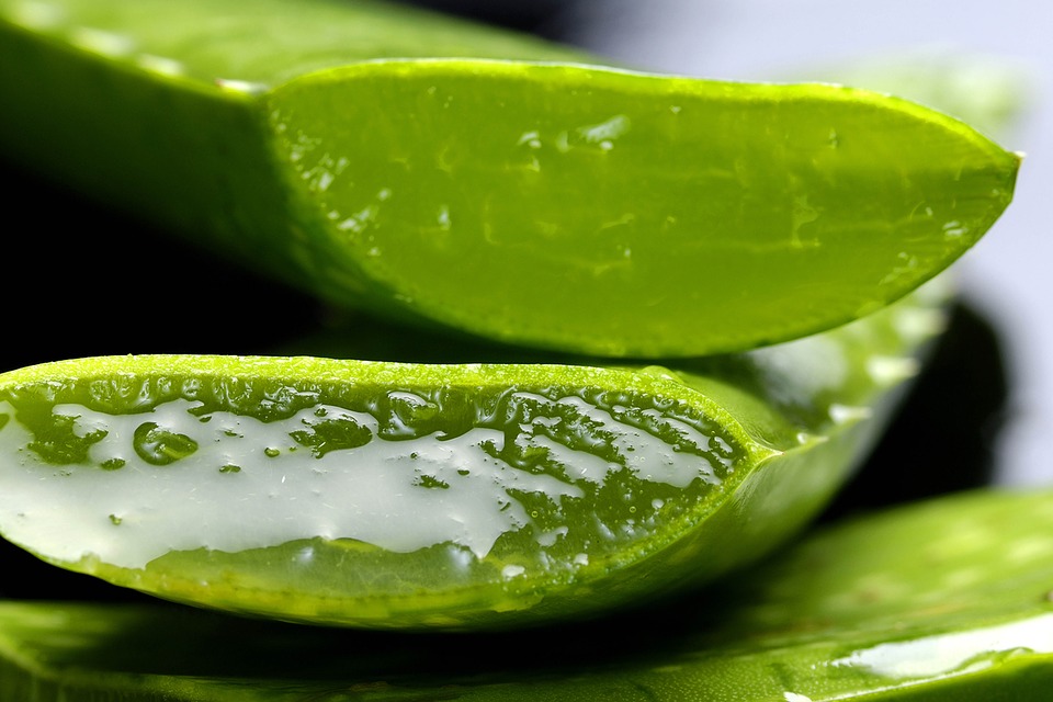 5 Ways to Lose Weight with Aloe Vera