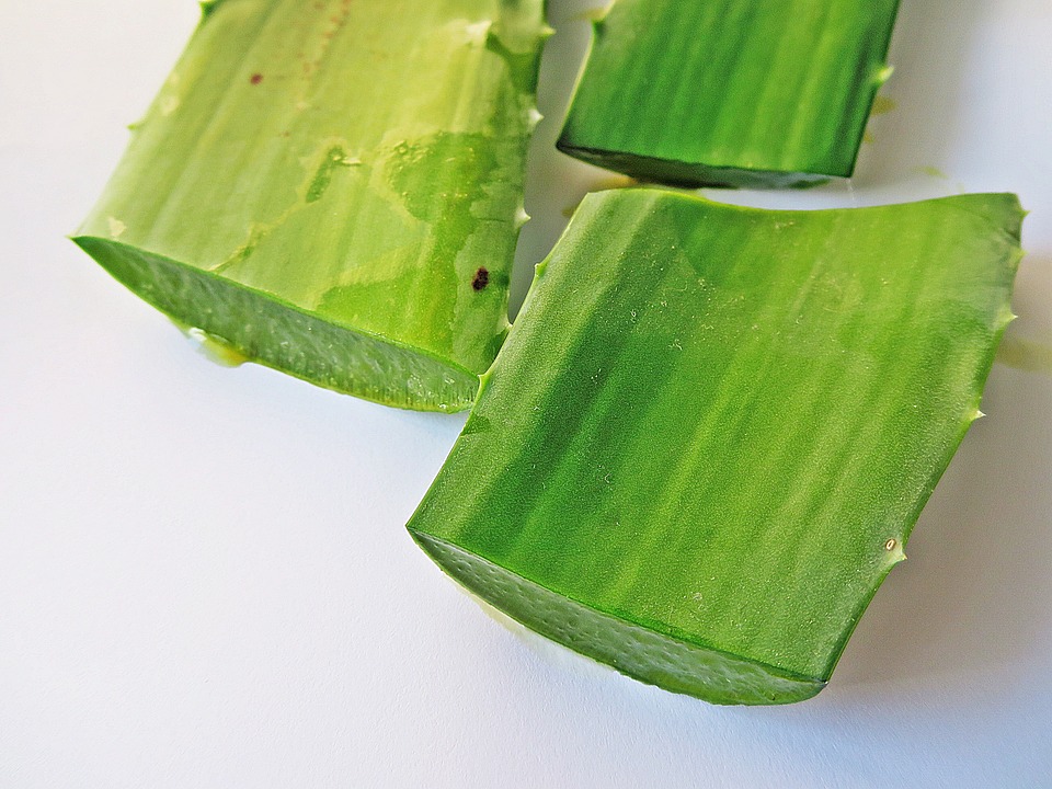 Easy Weight Loss: 3 Ways to Add Aloe Juice in Your Diet